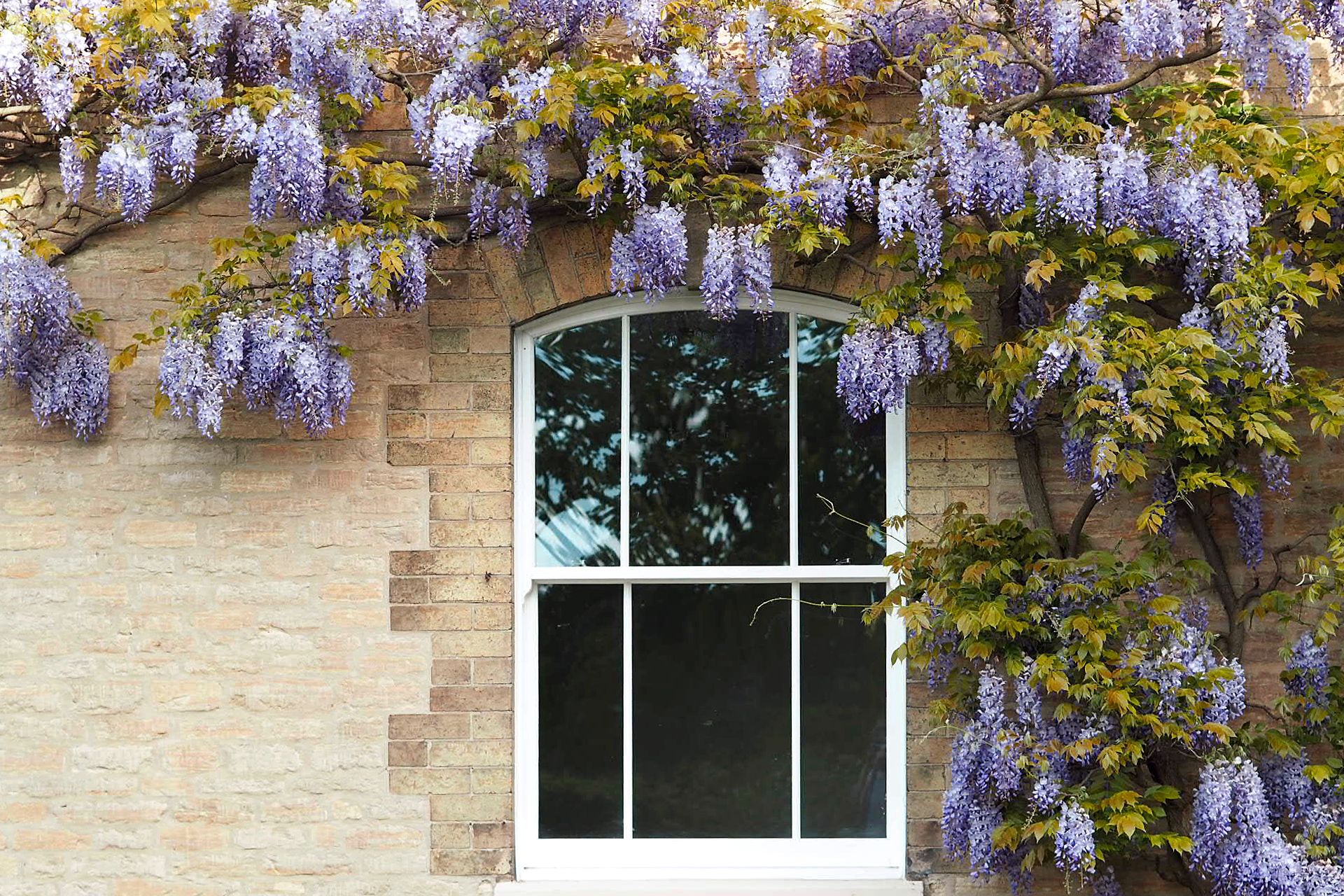 Sliding Sash Windows <small>in [city]</small>